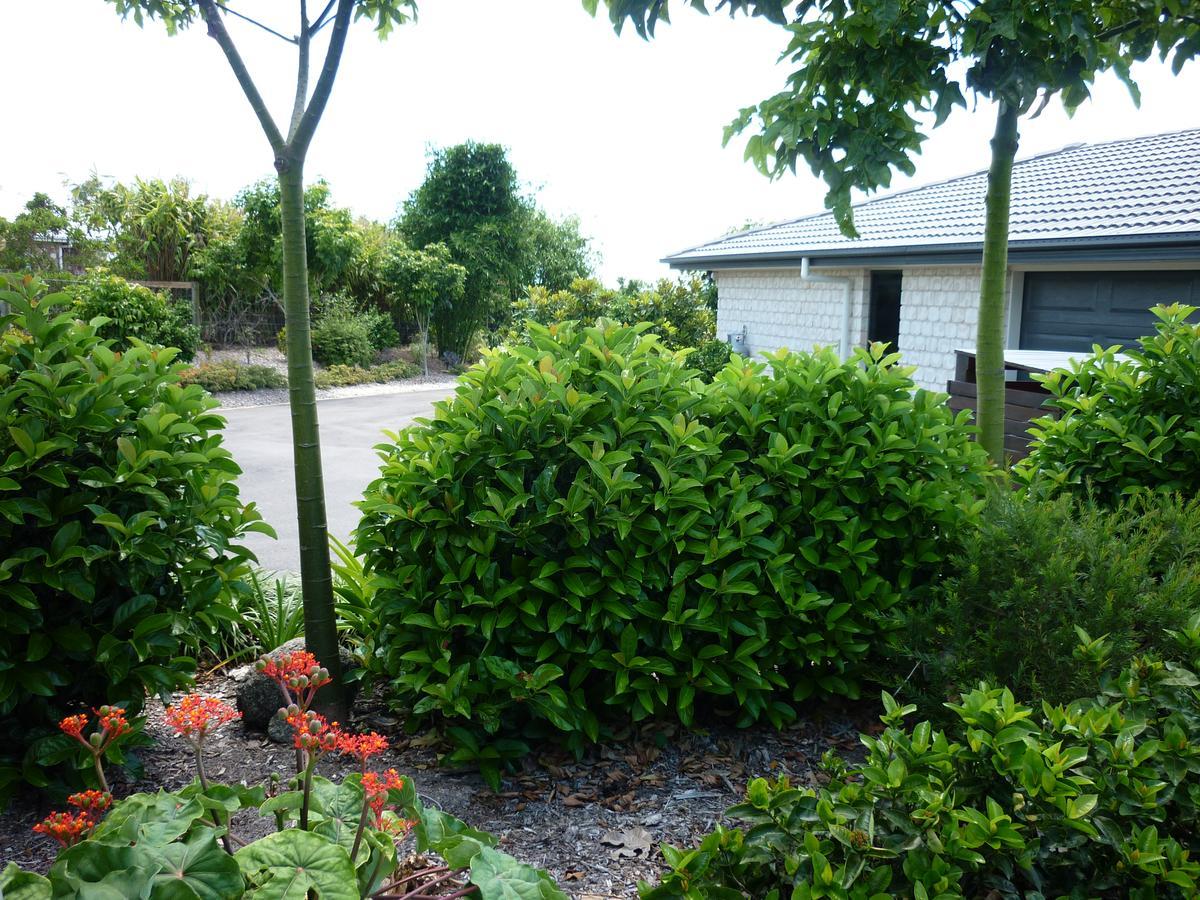 Willowbank Drive Bed & Breakfast Exterior foto